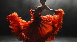 Flamenco japon 2024