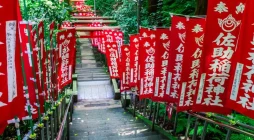 Descubre el místico Templo Sasuke Inari en Kamakura, un santuario oculto lleno de estatuillas de zorros y torii rojos. Historia, cómo llegar y su significado espiritual.