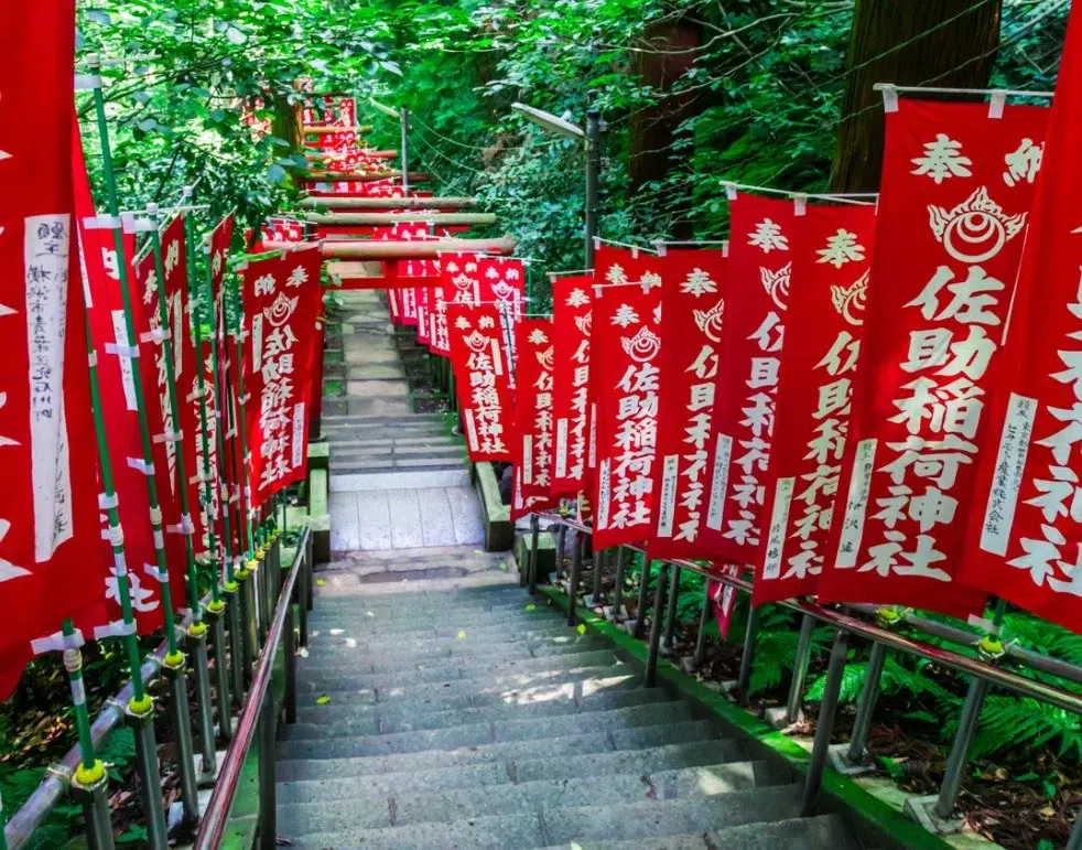 Descubre el místico Templo Sasuke Inari en Kamakura, un santuario oculto lleno de estatuillas de zorros y torii rojos. Historia, cómo llegar y su significado espiritual.