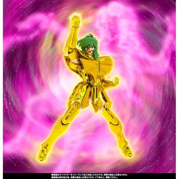 Saint Seiya Virgo Shun - Inheritor of the Gold Cloth - Myth Cloth Ex Bandai Premium - Imagen 10